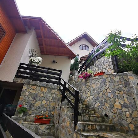 Casa Flandria Hotel Sinaia Ngoại thất bức ảnh