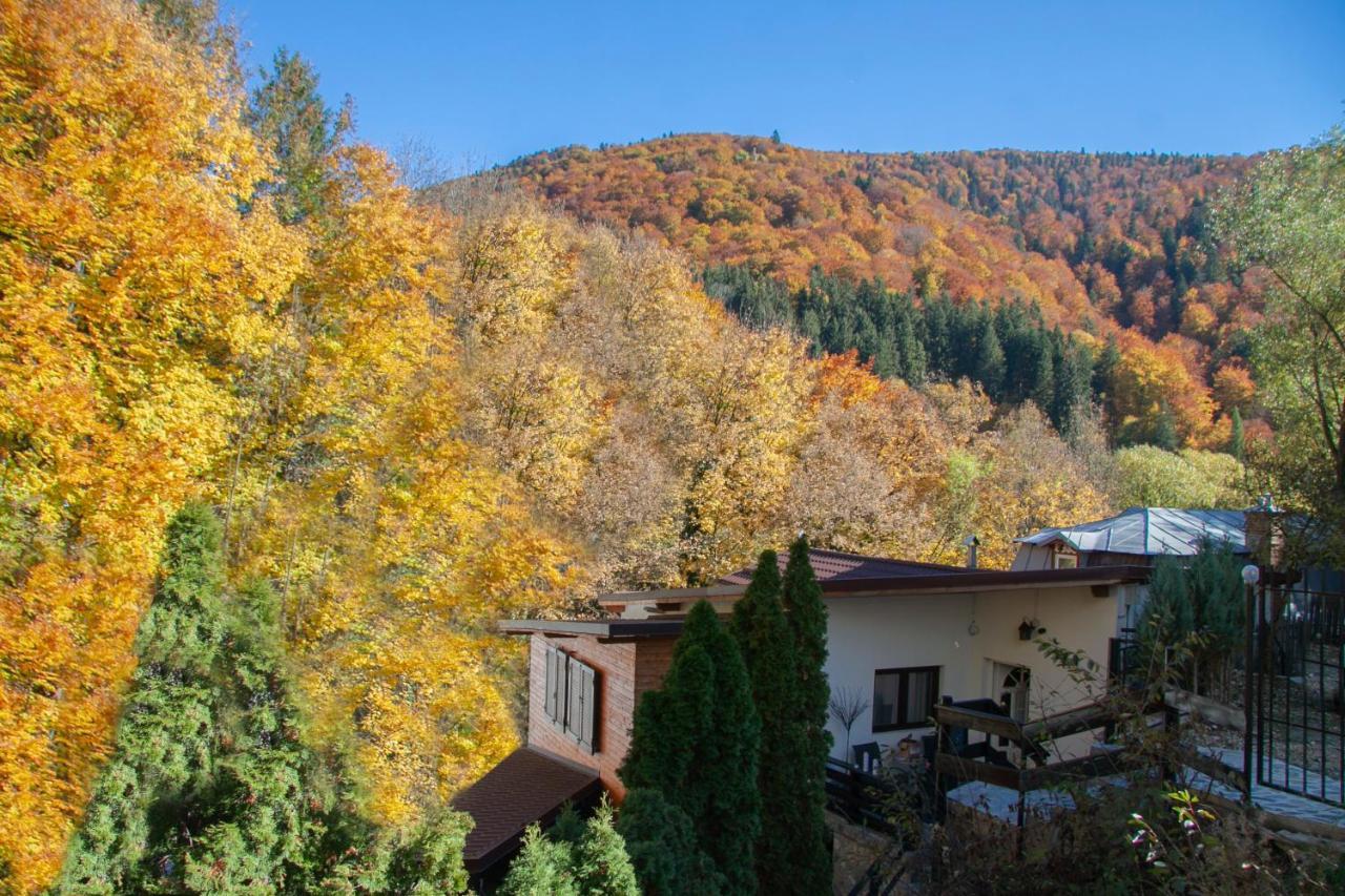 Casa Flandria Hotel Sinaia Ngoại thất bức ảnh