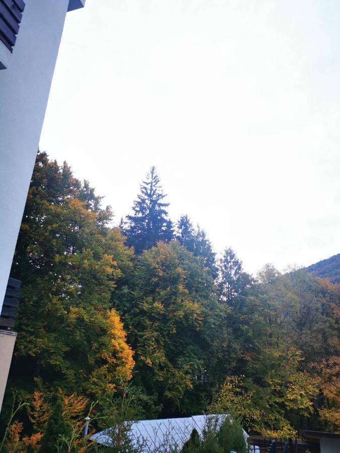 Casa Flandria Hotel Sinaia Ngoại thất bức ảnh