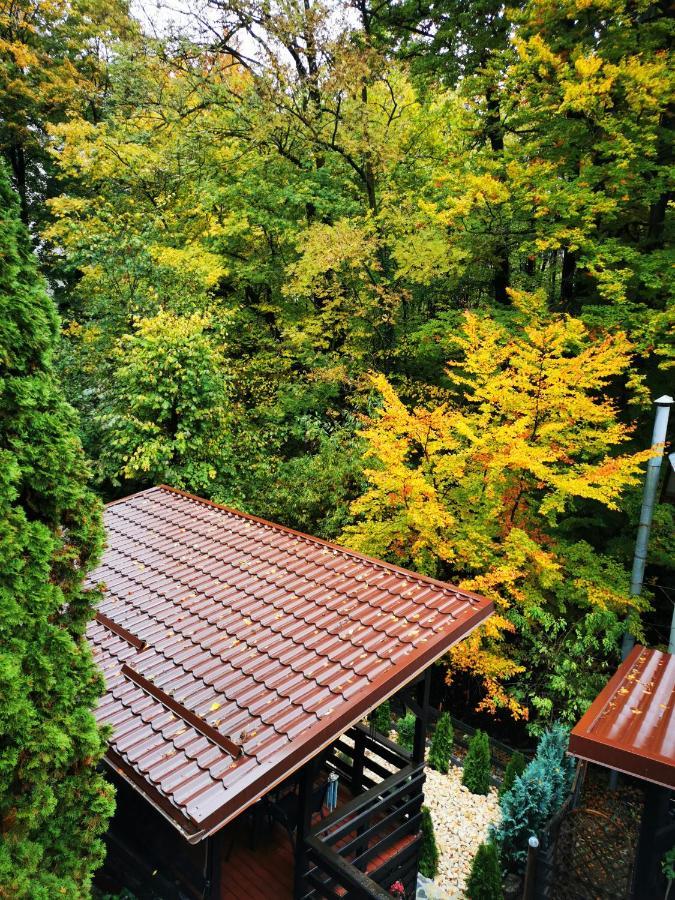 Casa Flandria Hotel Sinaia Ngoại thất bức ảnh
