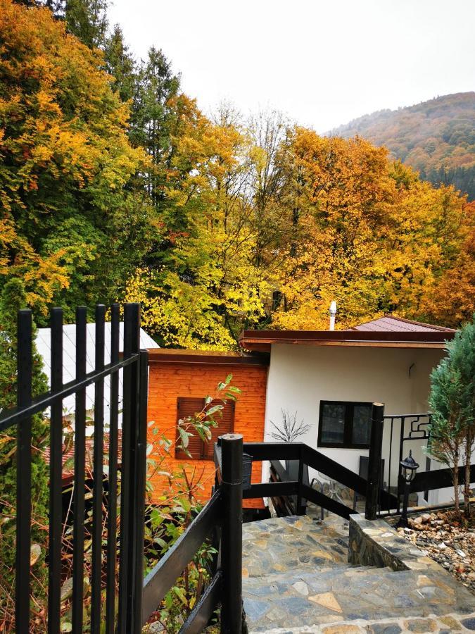 Casa Flandria Hotel Sinaia Ngoại thất bức ảnh