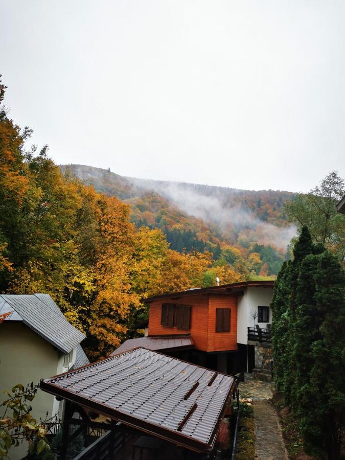 Casa Flandria Hotel Sinaia Ngoại thất bức ảnh