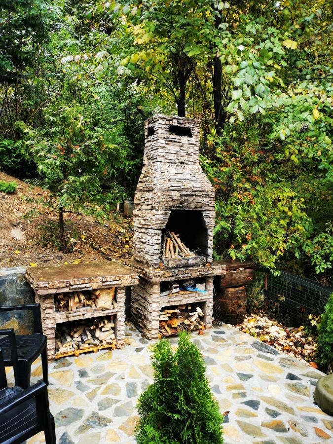 Casa Flandria Hotel Sinaia Ngoại thất bức ảnh