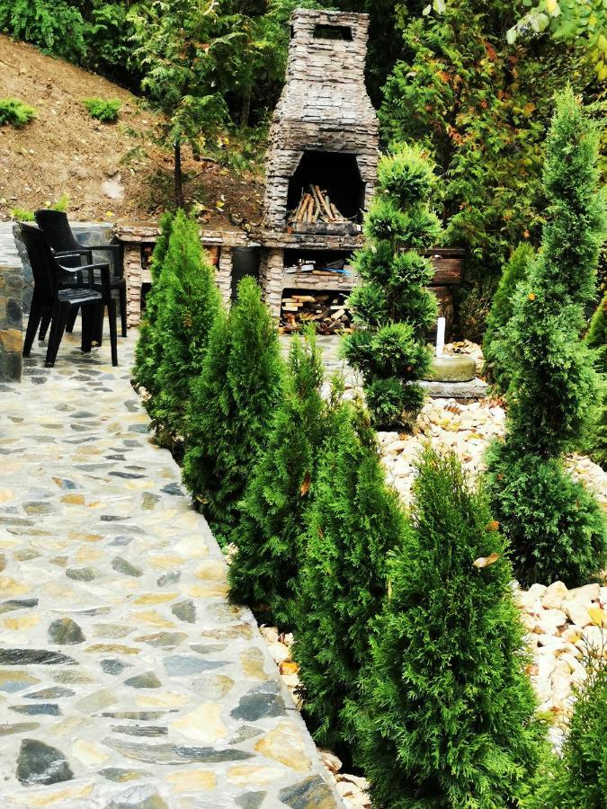 Casa Flandria Hotel Sinaia Ngoại thất bức ảnh