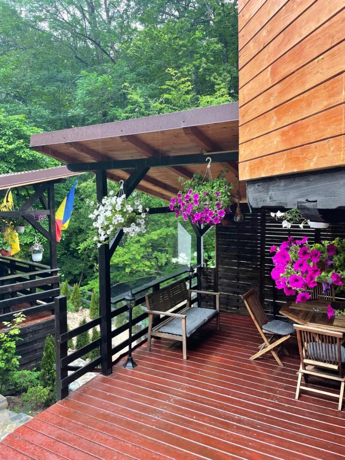 Casa Flandria Hotel Sinaia Ngoại thất bức ảnh