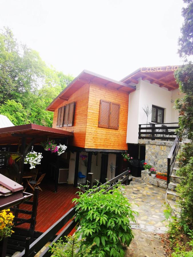 Casa Flandria Hotel Sinaia Ngoại thất bức ảnh