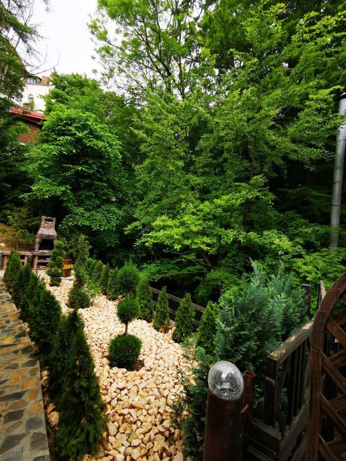 Casa Flandria Hotel Sinaia Ngoại thất bức ảnh