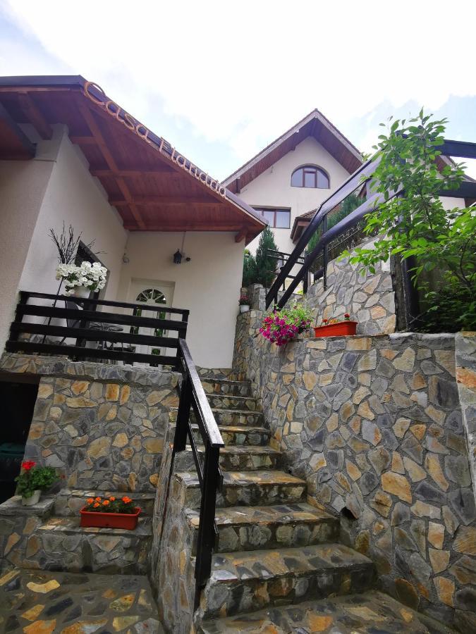Casa Flandria Hotel Sinaia Ngoại thất bức ảnh