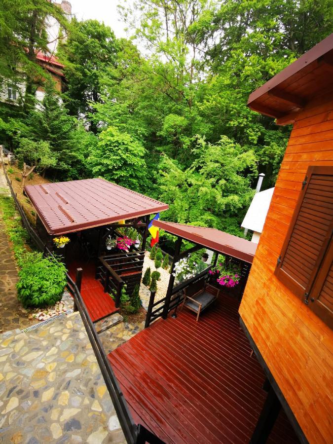 Casa Flandria Hotel Sinaia Ngoại thất bức ảnh